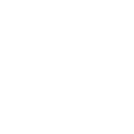 One Tree Planted SQ logo