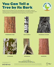 You Can Tell a Tree by It's Bark